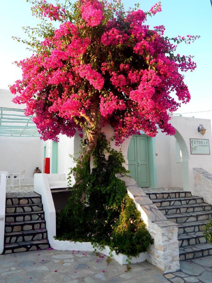 Astoria Paros Apartment เนาซา ภายนอก รูปภาพ